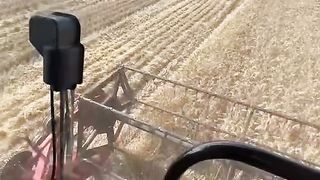 RESPECT AMAZING WORLD VIRAL DIY TRENDING