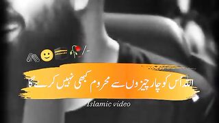 videos 44