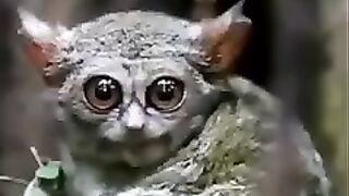 Gutka khane walo se hoshyaar