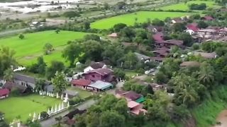 Fact videos 2