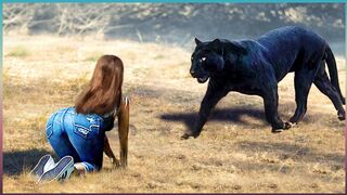 Dangerous Animals Caught Being Friendly!