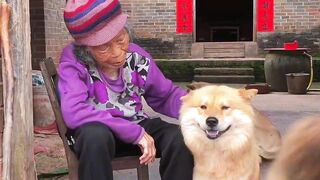 This is my grandmother's dream dog