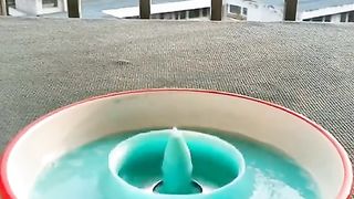 Beautiful slowmo video