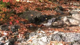 RELAXATION MUSIC 2