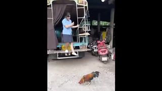 Entertainment intake for random earth creatures morons