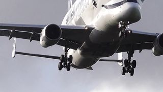 Beluga XL LOUD Landing!. shorts