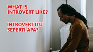 WHAT IS INTROVERT LIKE?