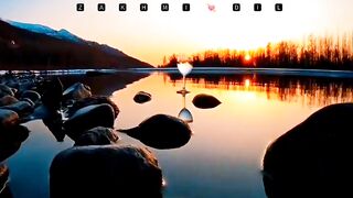 no watermark urdu hindi poetry for tiktok