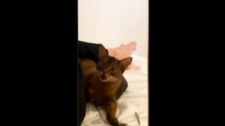 THE FUNNIEST TIK TOK COMPILATION MEMES ????????????