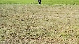 Memotong rumput