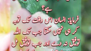 Tauba | Tauba Ki Taufeeq |  Quotes