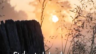 Song ???????????? 4