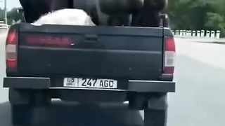 Приколи 63