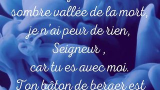 Bonjour mes amis, 2