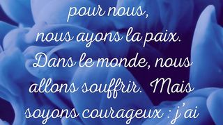 Bonjour mes amis, 8