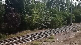 Проезд