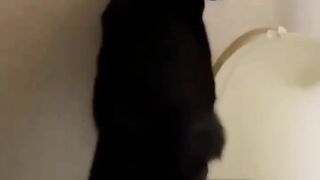Holà