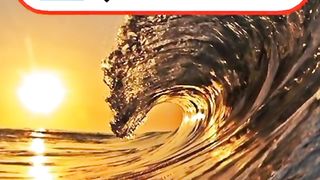 ???????????????????????????????????????? 4