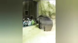 Funny TikToks that make my Monday better 46