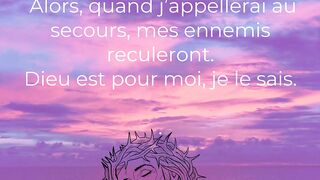 Bonjour mes amis, 12