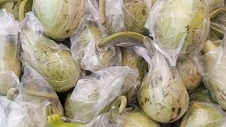 Pumpkin vegetable@pakistanisairsapatee