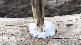 НЕЩО ПОЛЕЗНО