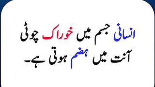 Best  urdu Quotes 5