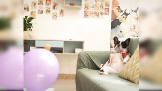 Baby dogs cuttest videos compliation