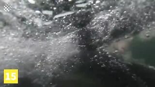 Insane moments at the sea
