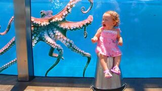 Funny Baby at the Aquarium | TRY NOT TO LAUGH