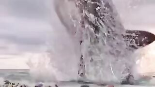 Shark jumps out of the sea.very shocking