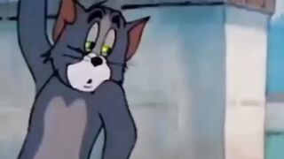 Tom jerry memes videos