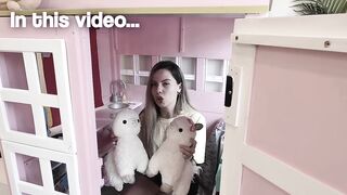 Giving My Llamas A BATH !! | Taking My Llama Shopping For A NEW CAR !!