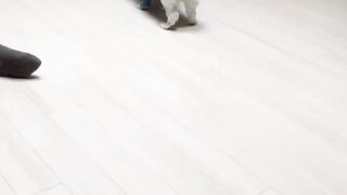 Funny video: This Was Unexpected!!