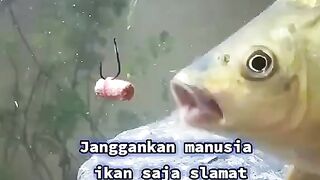 Ikan saja bisa selamat