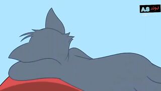 New tom and jerry episode