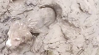ТікТок 104
