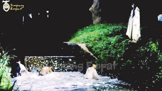 Kuntilanak paling Berunting Asli// Luci Lucks Ghost