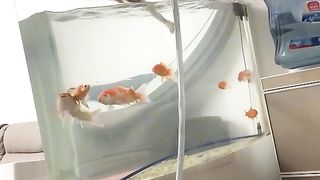 Приколи 78