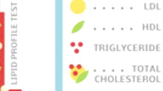Lipid Profile Test overview
