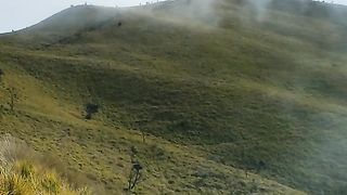 merbabu mountain savanna