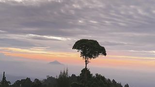 Senja sore