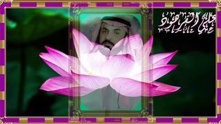 القران الكريم تلاوة خاشعة 2