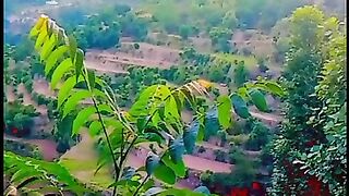 اے پیارے وطن