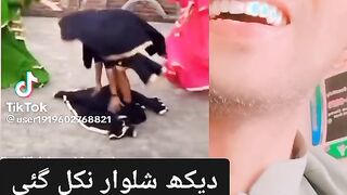 Hahahaha ???? ???? ???? Tiktok funny and laughter video must watch