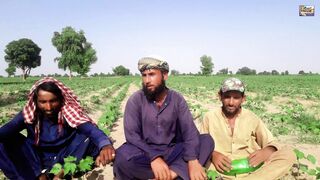 jeeta tha jis k liay funny song