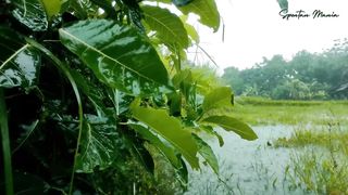 Rain sound 3