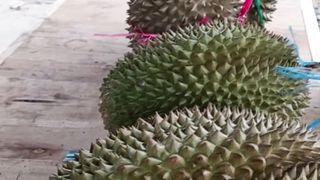 Indonesia's favorite fruit