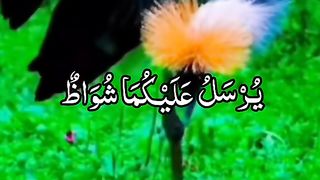 khubsurat voice surah rehman