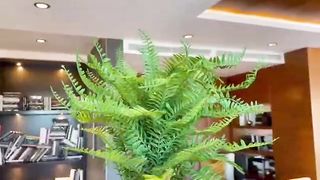 Fake Plant For Outdoor